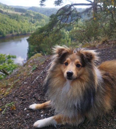 Somatic Silence mit Cosmo